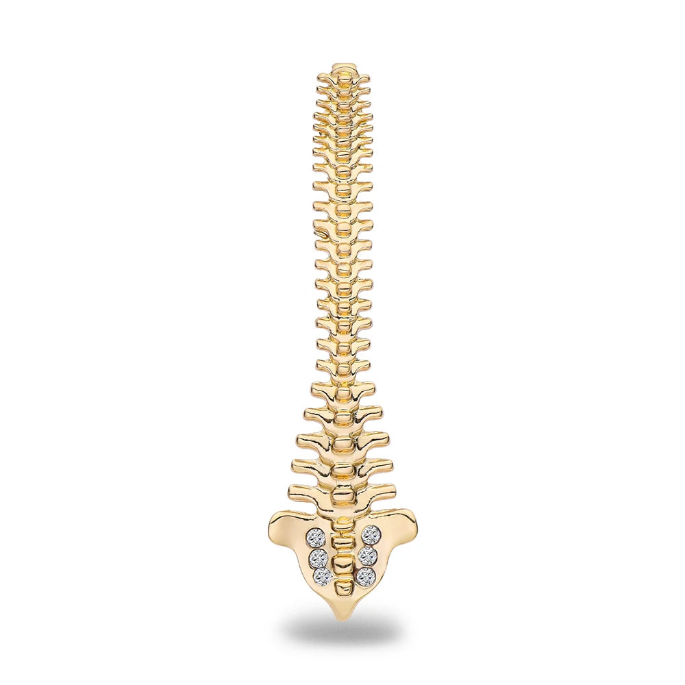 Spine Brooch Pin, Gifts For Orthopedic/Chiropractic Professionals Or Students, By HANRESHE