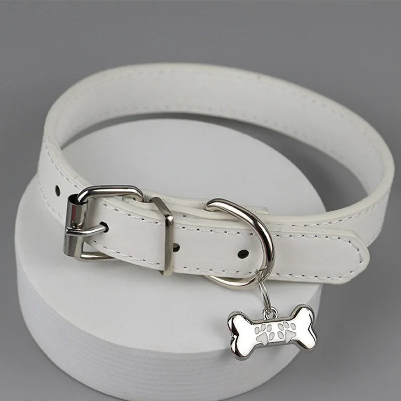 Trendy, Dog Claw Bone Choker for Women, Nice Gift For Punk Rockers
