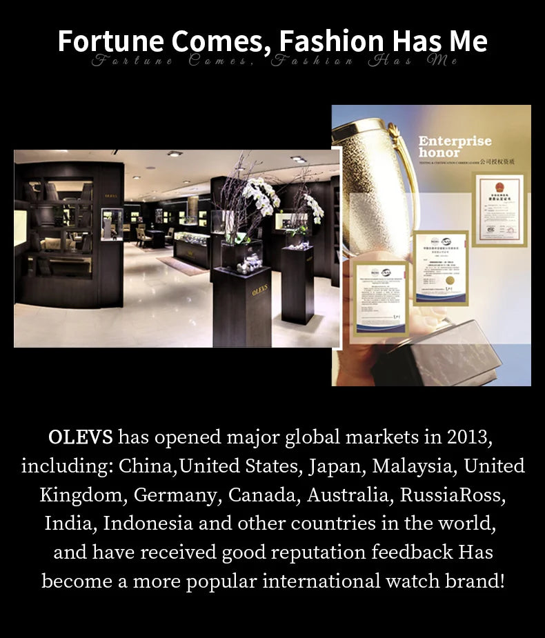 OLEV'S 2956 Men's, Luxury Brand, Waterproof, Calendar Moon Phase, Top Fashion, Stainless Steel Quartz, Chronograph Watch