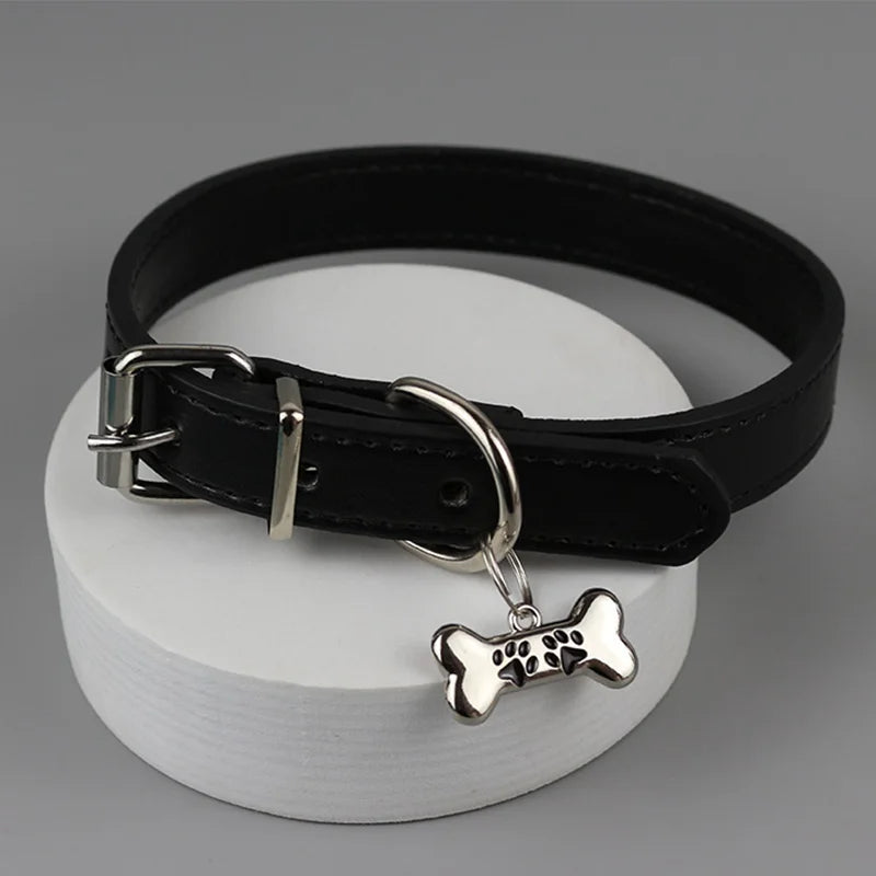 Trendy, Dog Claw Bone Choker for Women, Nice Gift For Punk Rockers
