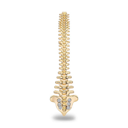 Spine Brooch Pin, Gifts For Orthopedic/Chiropractic Professionals Or Students, By HANRESHE