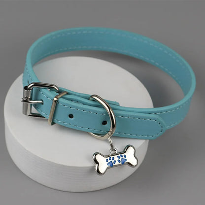 Trendy, Dog Claw Bone Choker for Women, Nice Gift For Punk Rockers